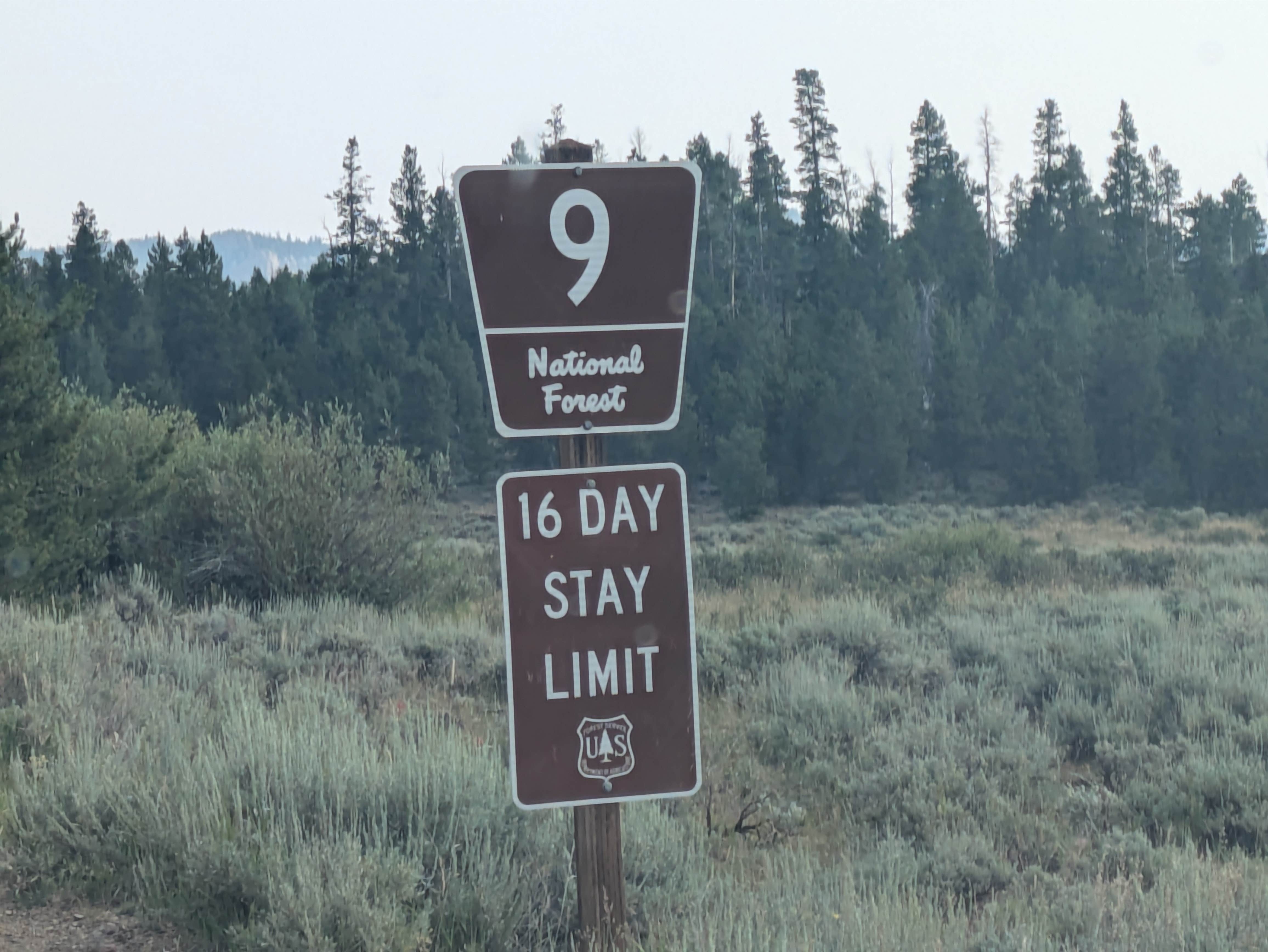 Camper-submitted photo at Sheep Creek Lake Primitive Campground near Lonetree, WY