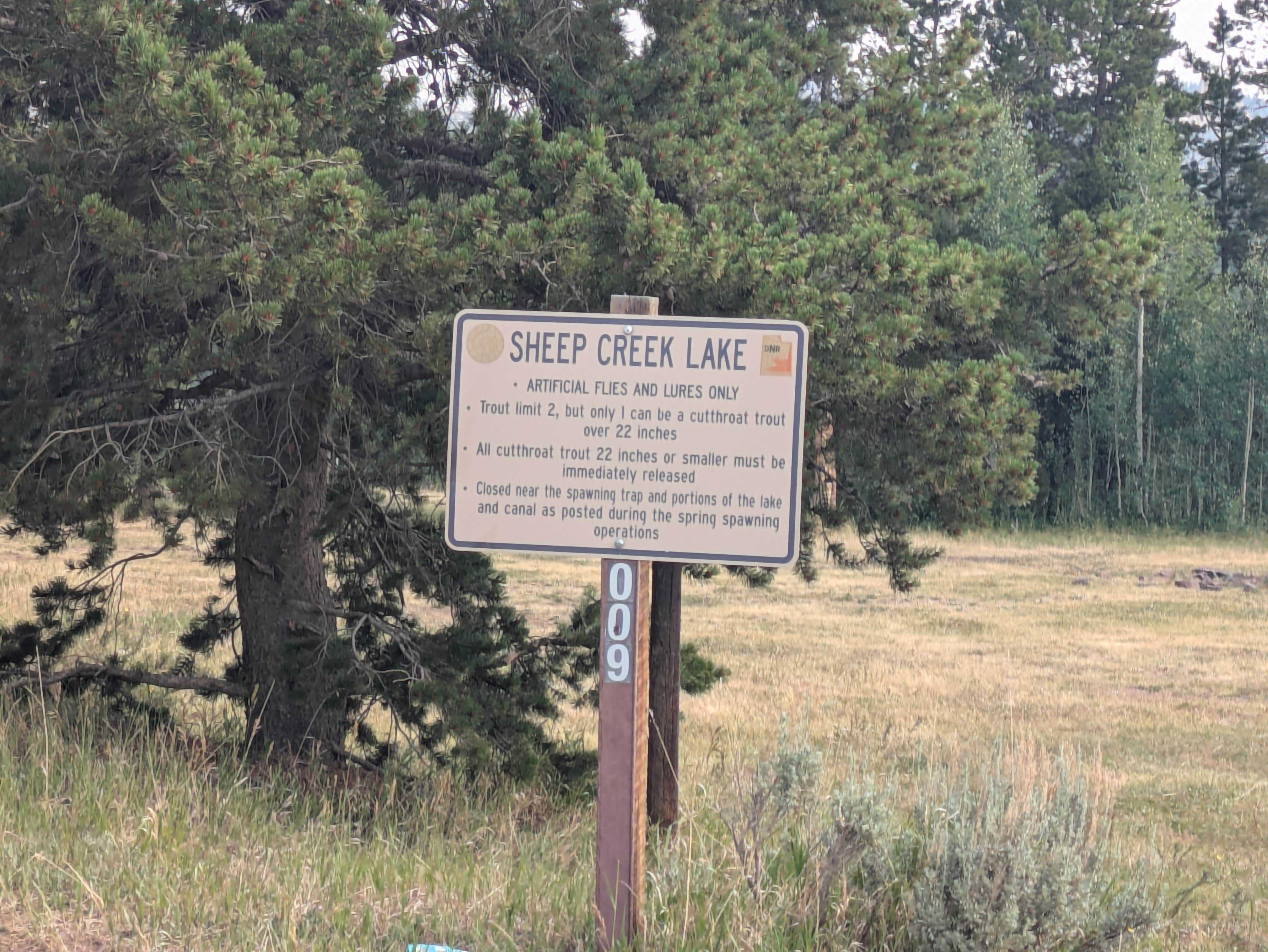 Camper submitted image from Sheep Creek Lake Primitive Campground - 3