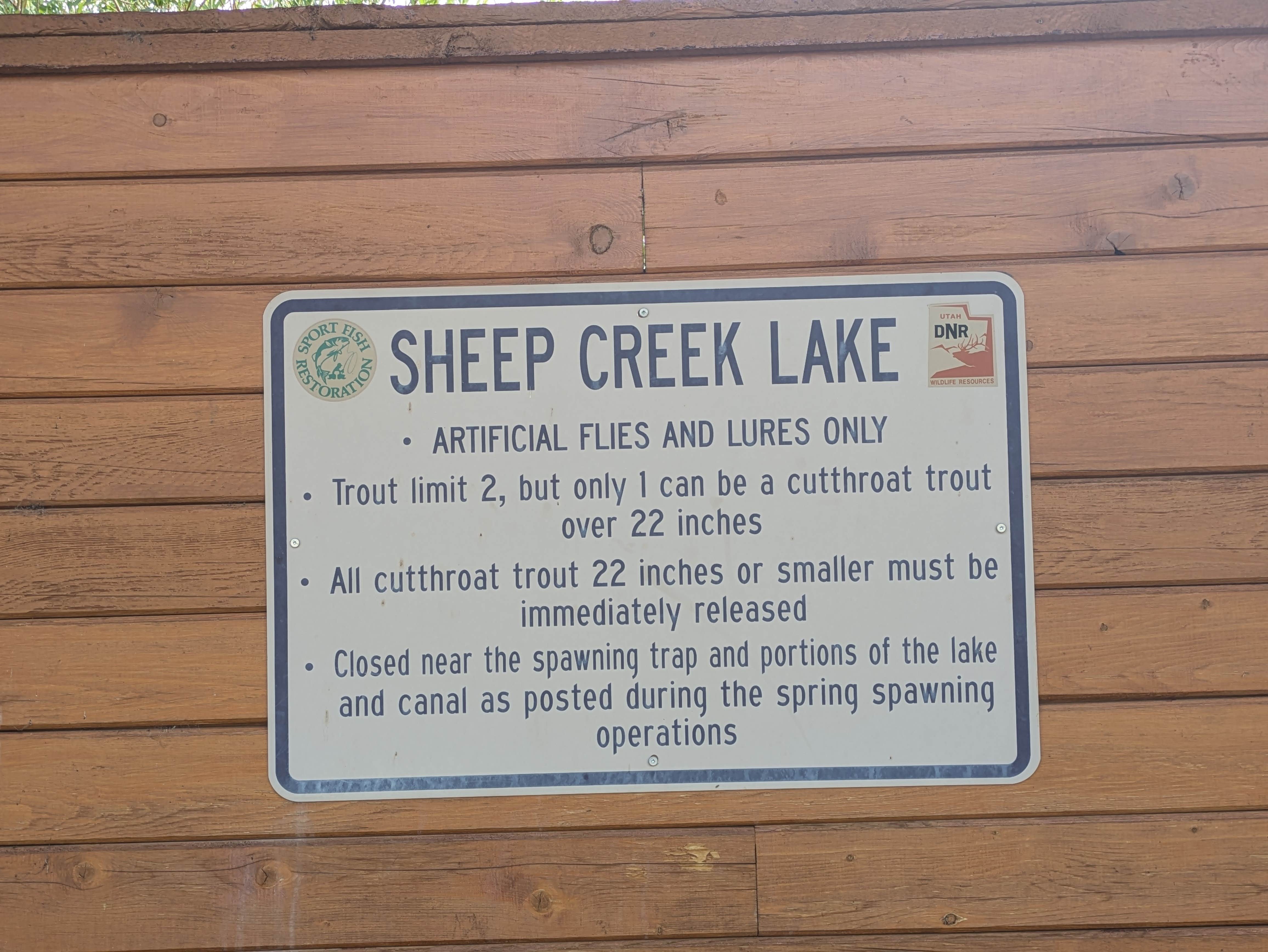 Camper-submitted photo at Sheep Creek Lake Primitive Campground near Lonetree, WY