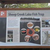 Review photo of Sheep Creek Lake Primitive Campground by Greg L., July 23, 2024