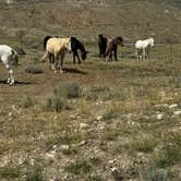 Review photo of Sheep Mountain BLM by Josh B., April 12, 2026