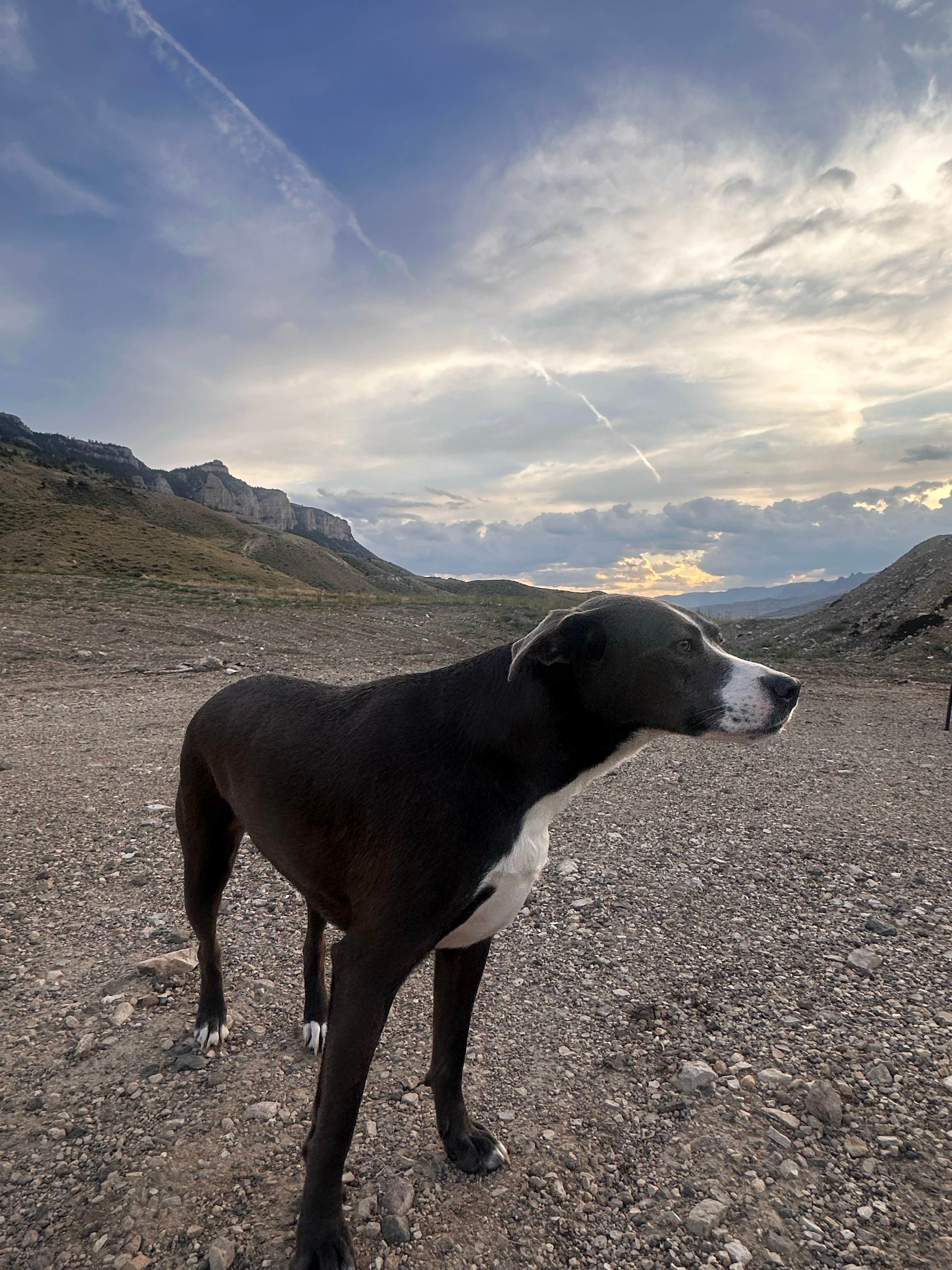 Mariah K.'s photo of a dispersed camping area at Sheep Mountain BLM near Ralston, WY
