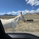 Review photo of Sheep Mountain BLM by Josh B., April 12, 2026