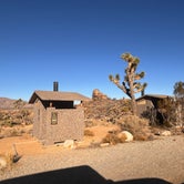 Review photo of Sheep Pass Campground — Joshua Tree National Park by Jennifer H., January 12, 2024
