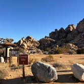 Review photo of Sheep Pass Campground — Joshua Tree National Park by Jennifer H., January 12, 2024