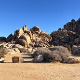 Review photo of Sheep Pass Group Campground — Joshua Tree National Park by Jennifer H., January 12, 2024