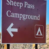 Review photo of Sheep Pass Group Campground — Joshua Tree National Park by Jennifer H., January 12, 2024