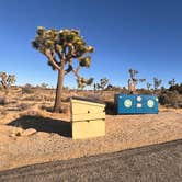 Review photo of Sheep Pass Group Campground — Joshua Tree National Park by Jennifer H., January 12, 2024