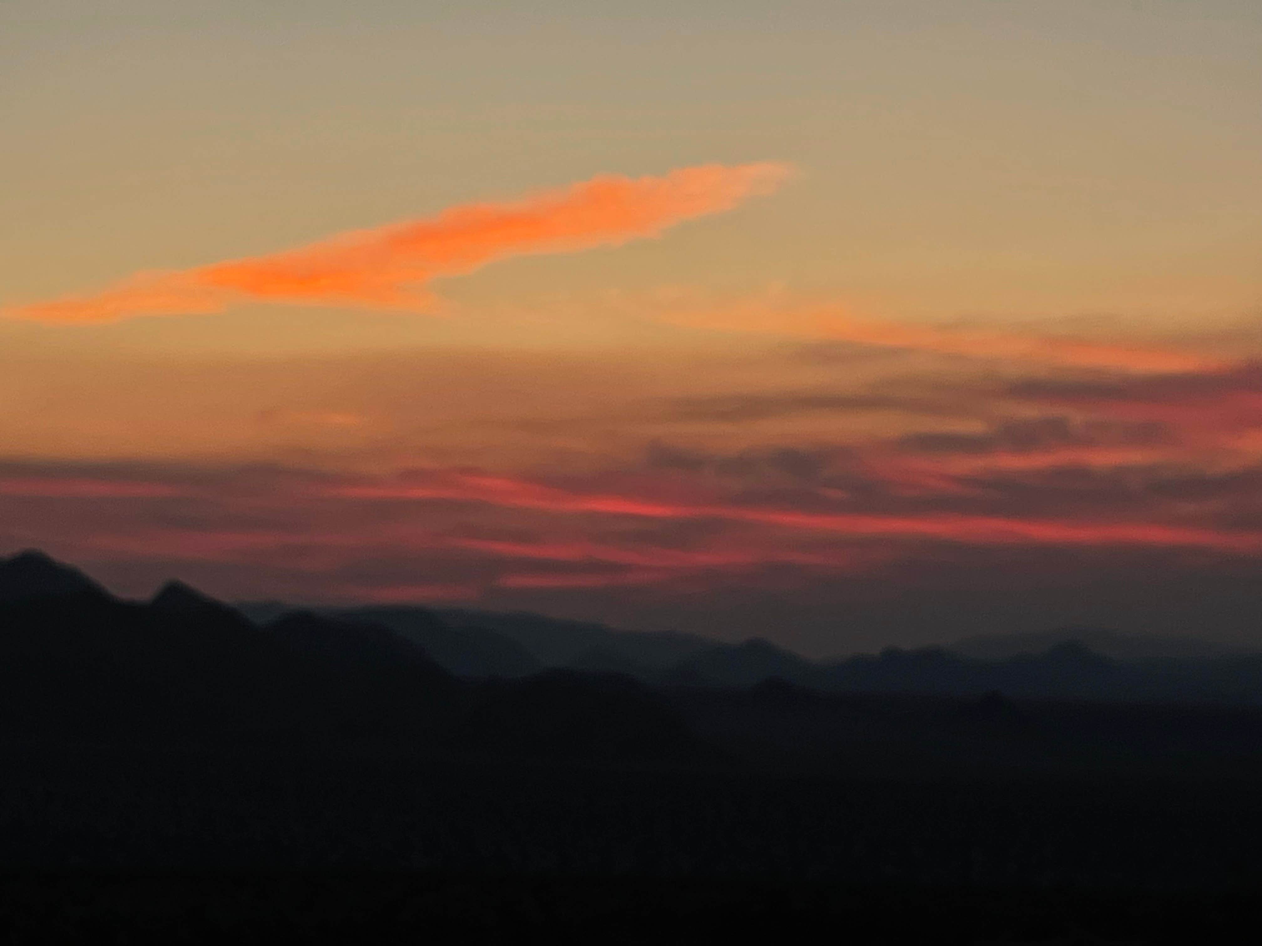 Camper-submitted photo at Sheephole Valley Wilderness near Twentynine Palms, CA