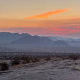 Review photo of Sheephole Valley Wilderness by Evelyn O., August 5, 2025