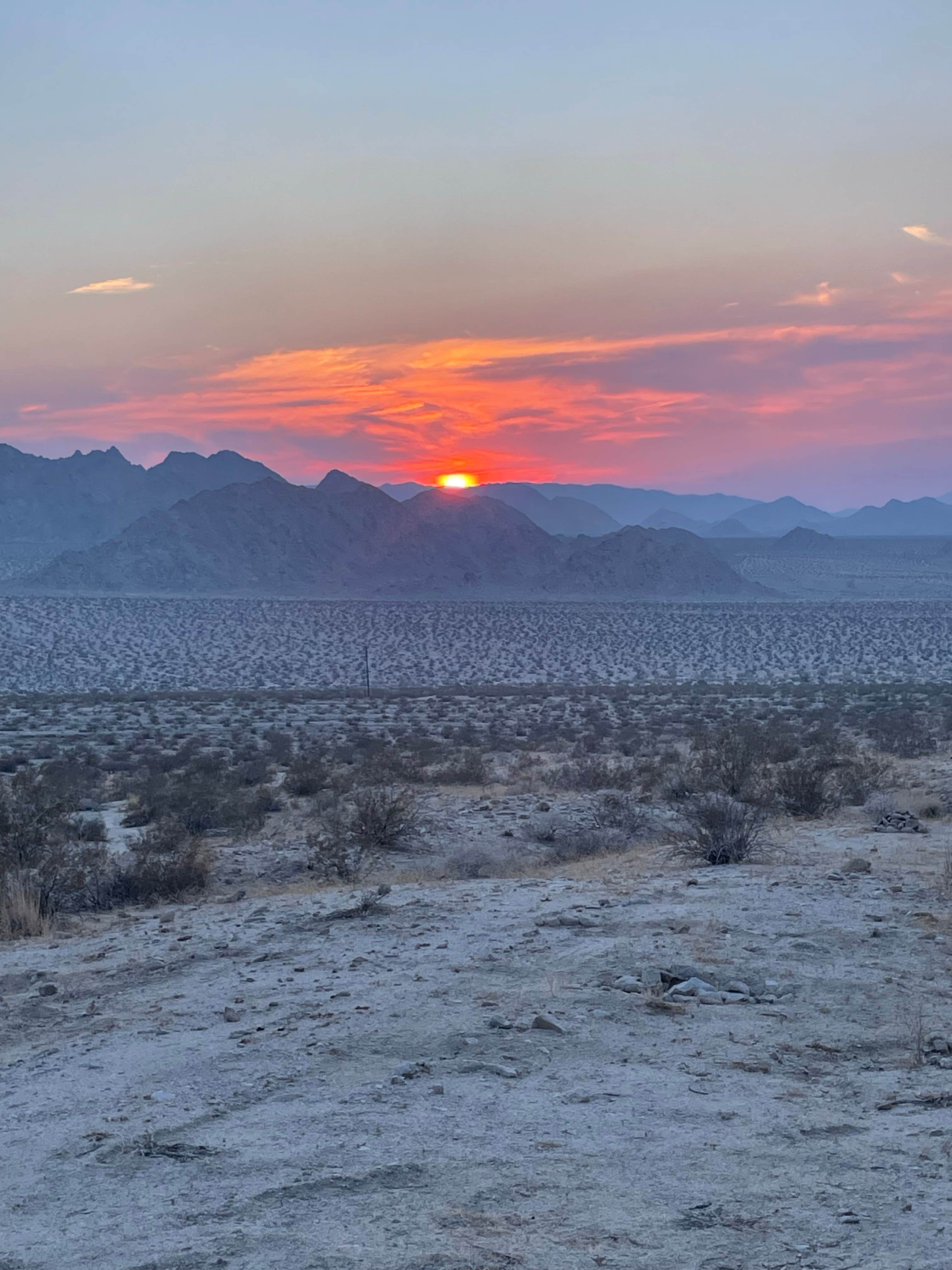 Camper-submitted photo at Sheephole Valley Wilderness near Twentynine Palms, CA