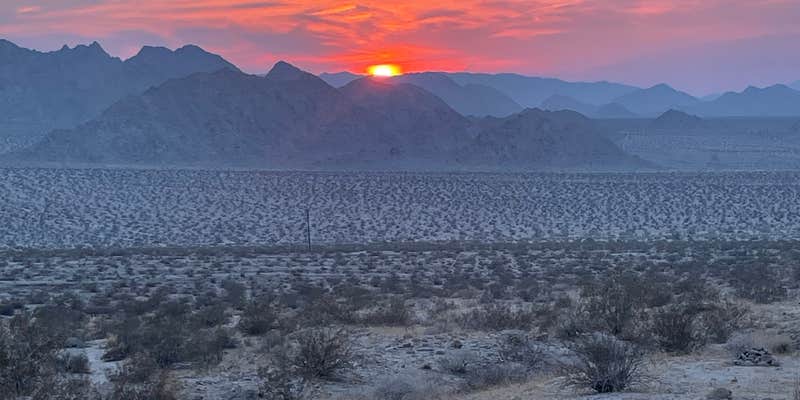 Camper submitted image from Sheephole Valley Wilderness