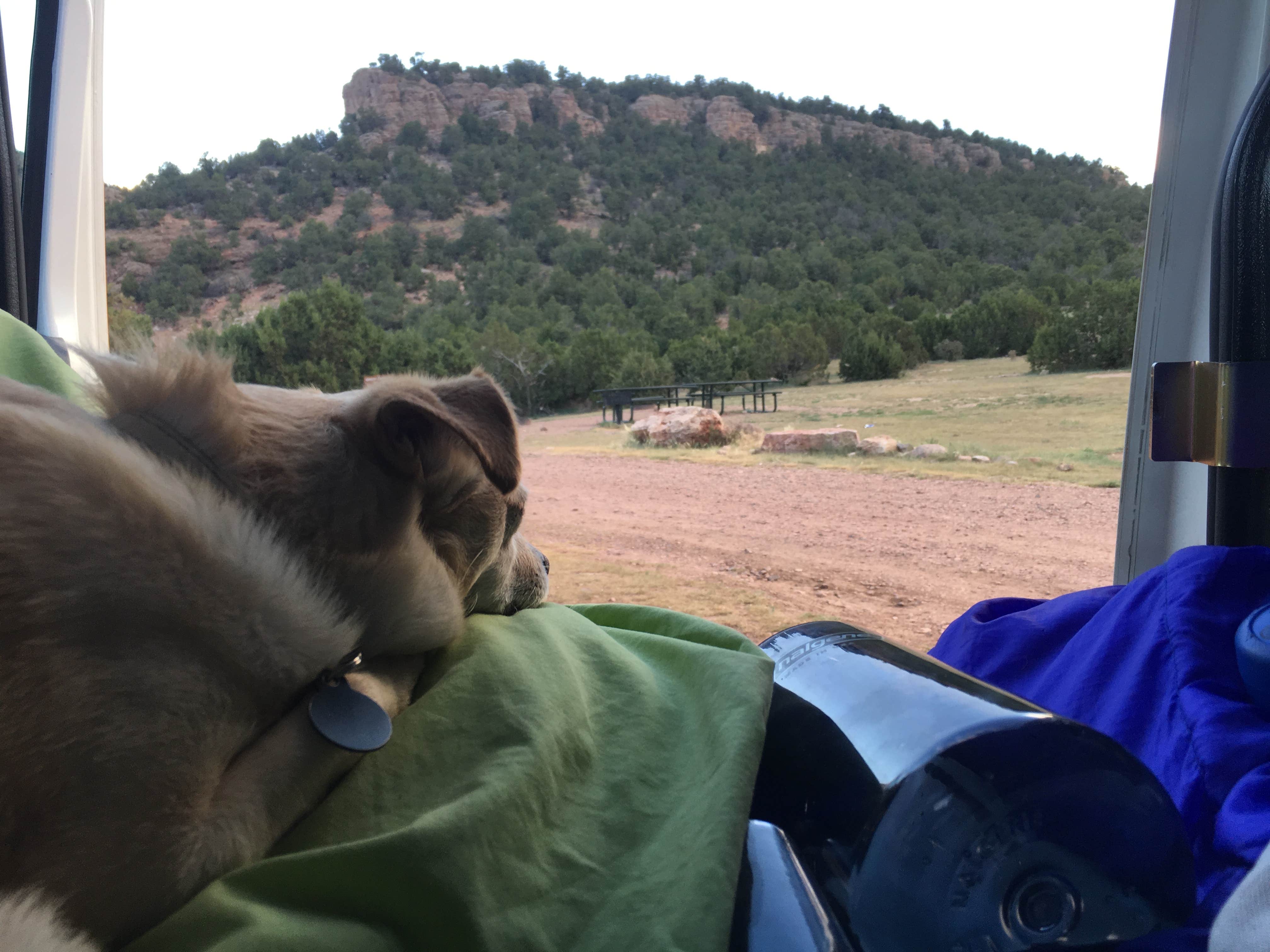 Camper-submitted photo at Shelf Road Sites near Penrose, CO
