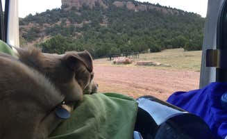 Bille W.'s photo of camping with pets at Shelf Road Sites near Guffey, CO