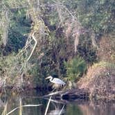 Review photo of Shell Creek RV Community by Raeann C., March 13, 2026