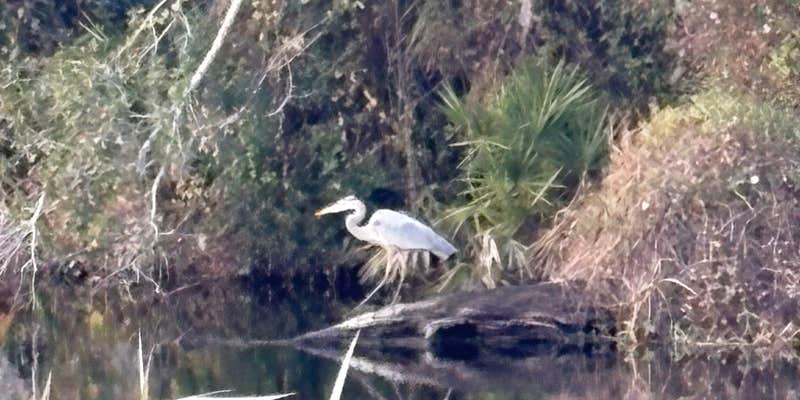 Camper submitted image from Shell Creek RV Community