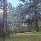 Review photo of Shell Oil Road Hunter Camp by James S., June 11, 2026