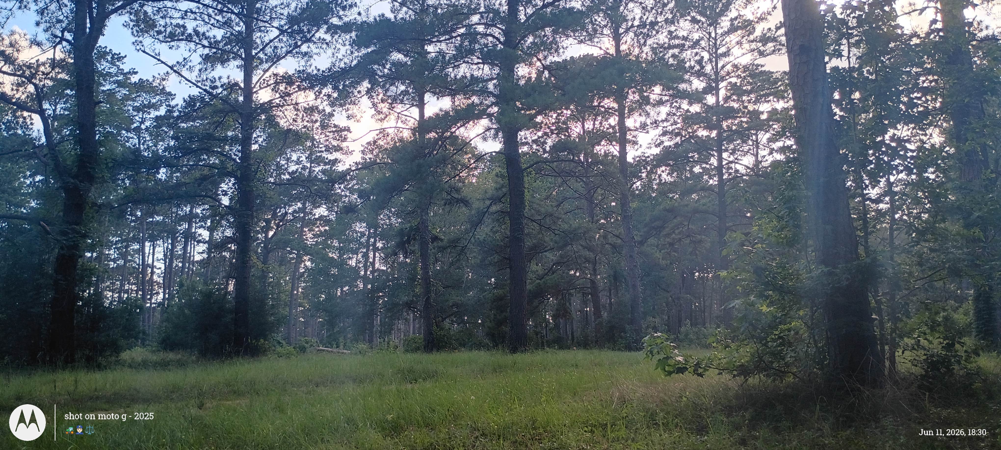 Camper-submitted photo at Shell Oil Road Hunter Camp near Splendora, TX