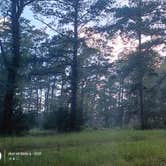 Review photo of Shell Oil Road Hunter Camp by James S., June 11, 2026