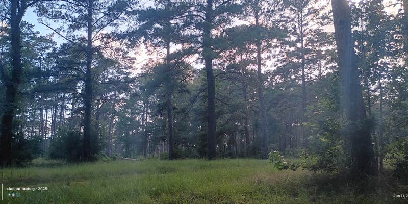 Camper submitted image from Shell Oil Road Hunter Camp
