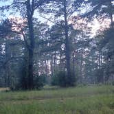 Review photo of Shell Oil Road Hunter Camp by James S., June 11, 2026