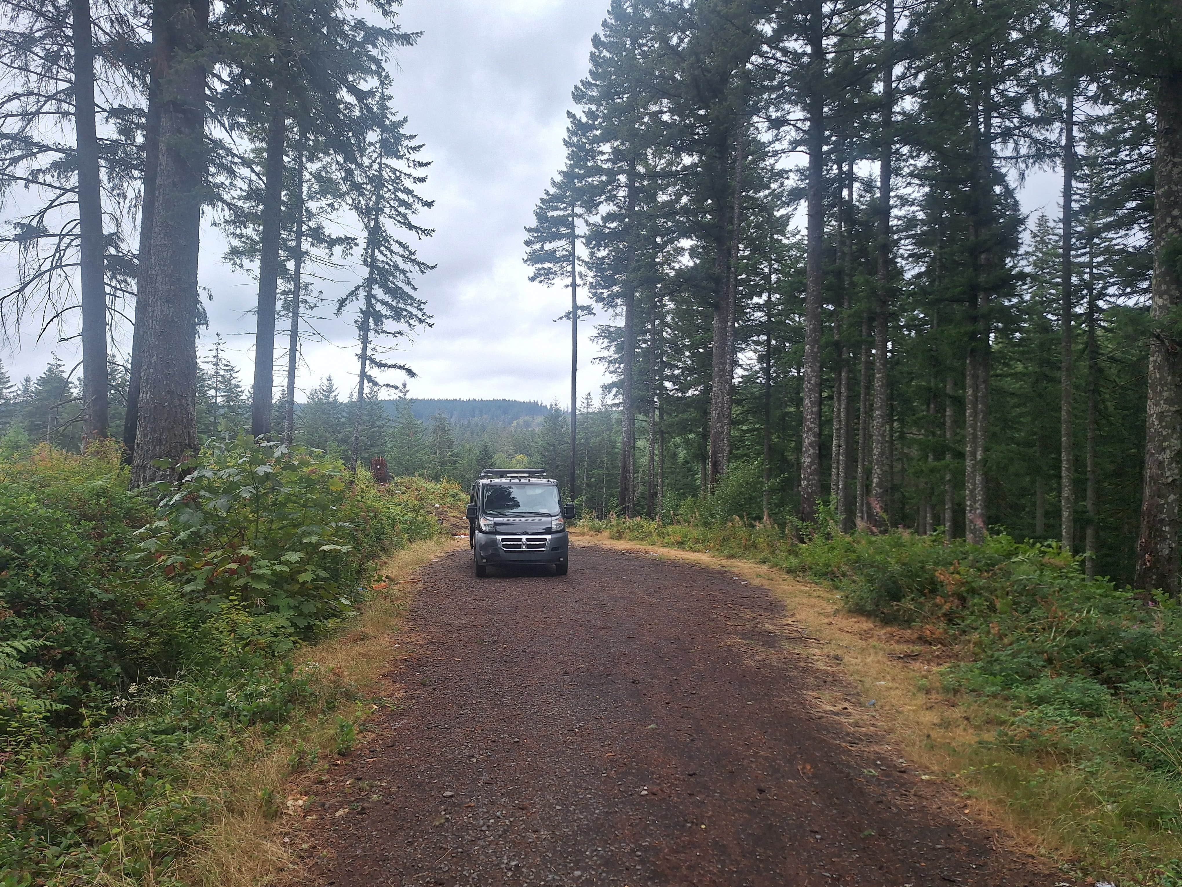 Shellburg Creek
