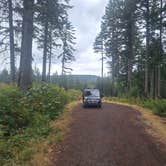 Review photo of Shellburg Creek by Jerry N., September 3, 2026