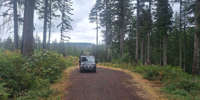 Camper submitted image from Shellburg Creek