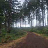 Review photo of Shellburg Creek by Jerry N., September 3, 2026