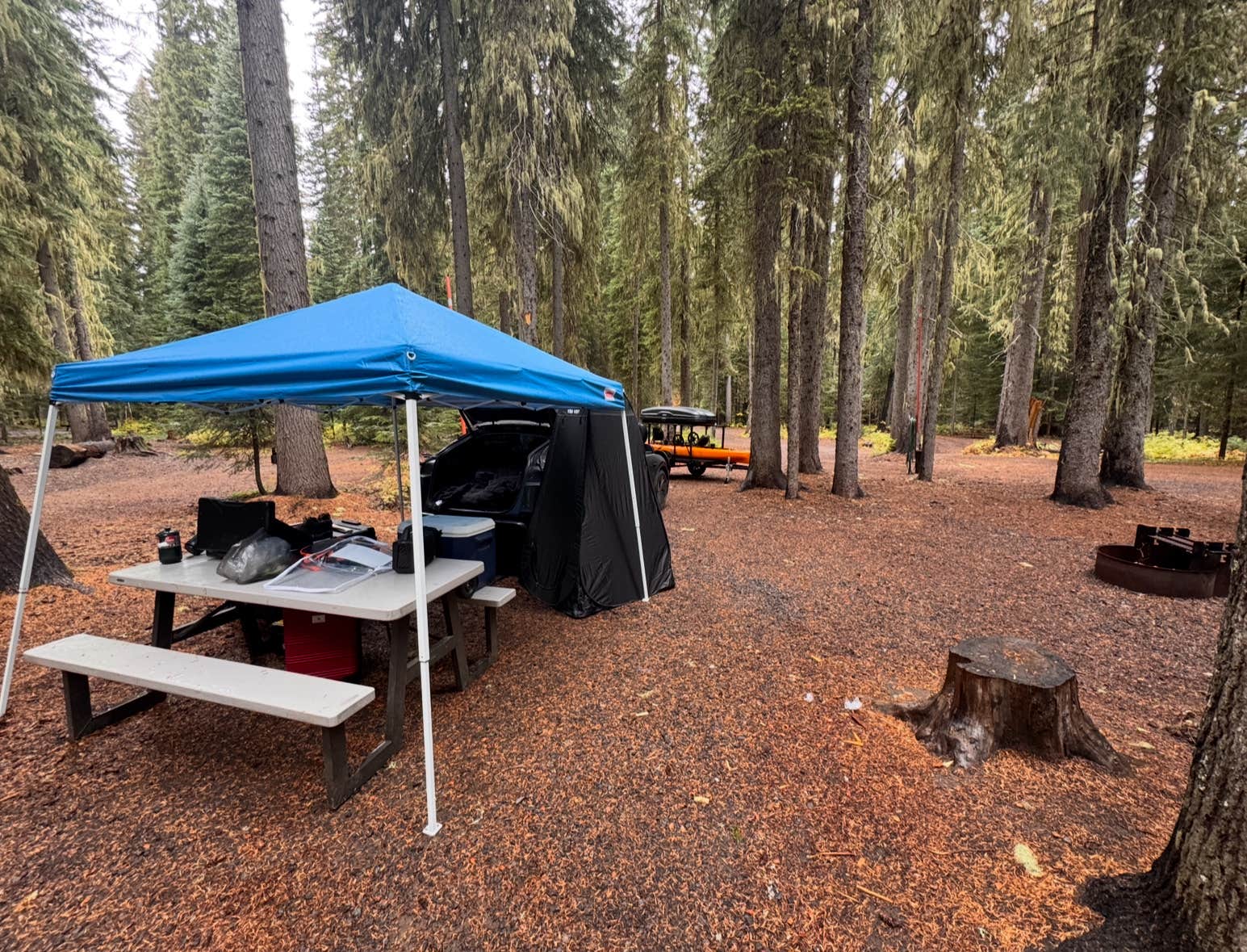 Camper-submitted photo at Shelter Cove Resort & Marina near Crescent, OR