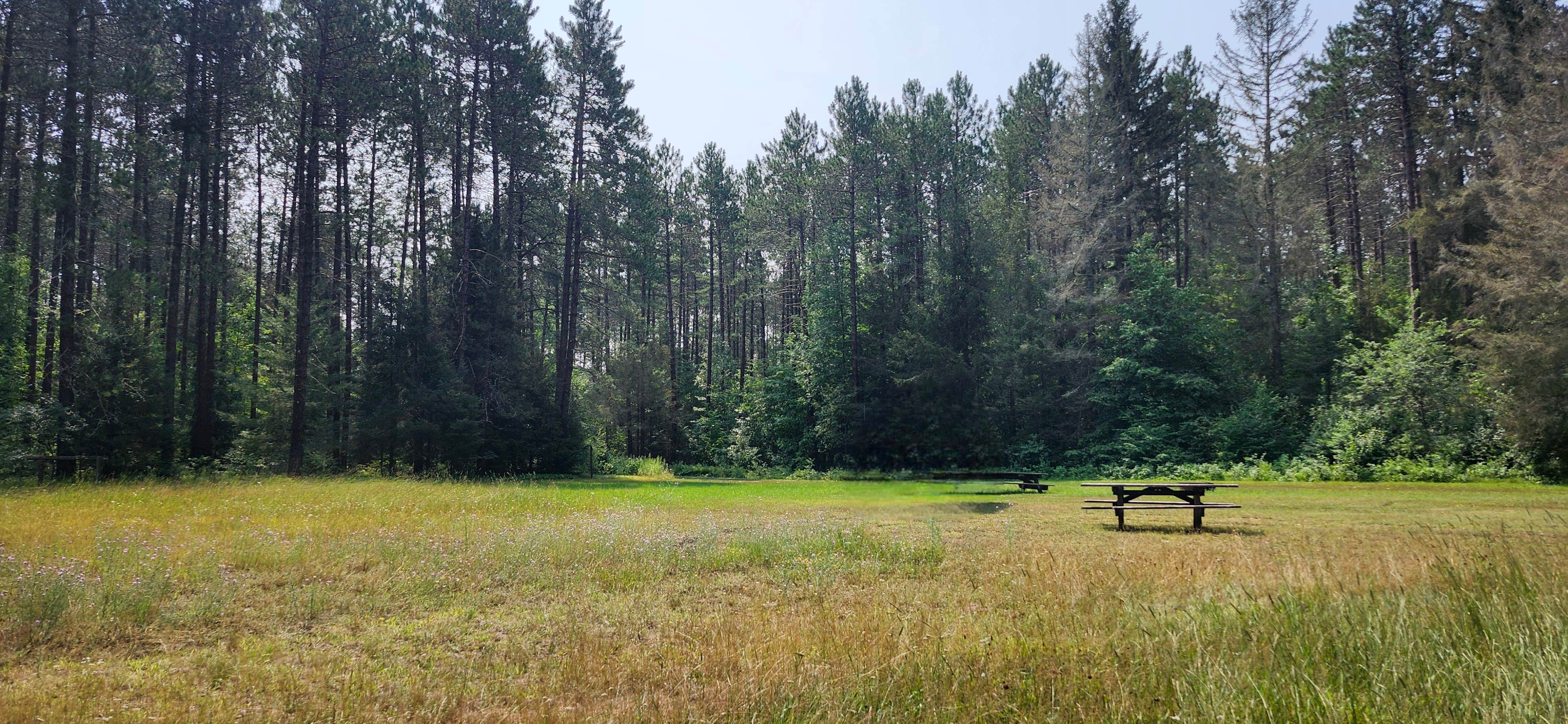 Camper-submitted photo at Sheltered Valley Road Horse Trail Head near Lac du Flambeau, WI