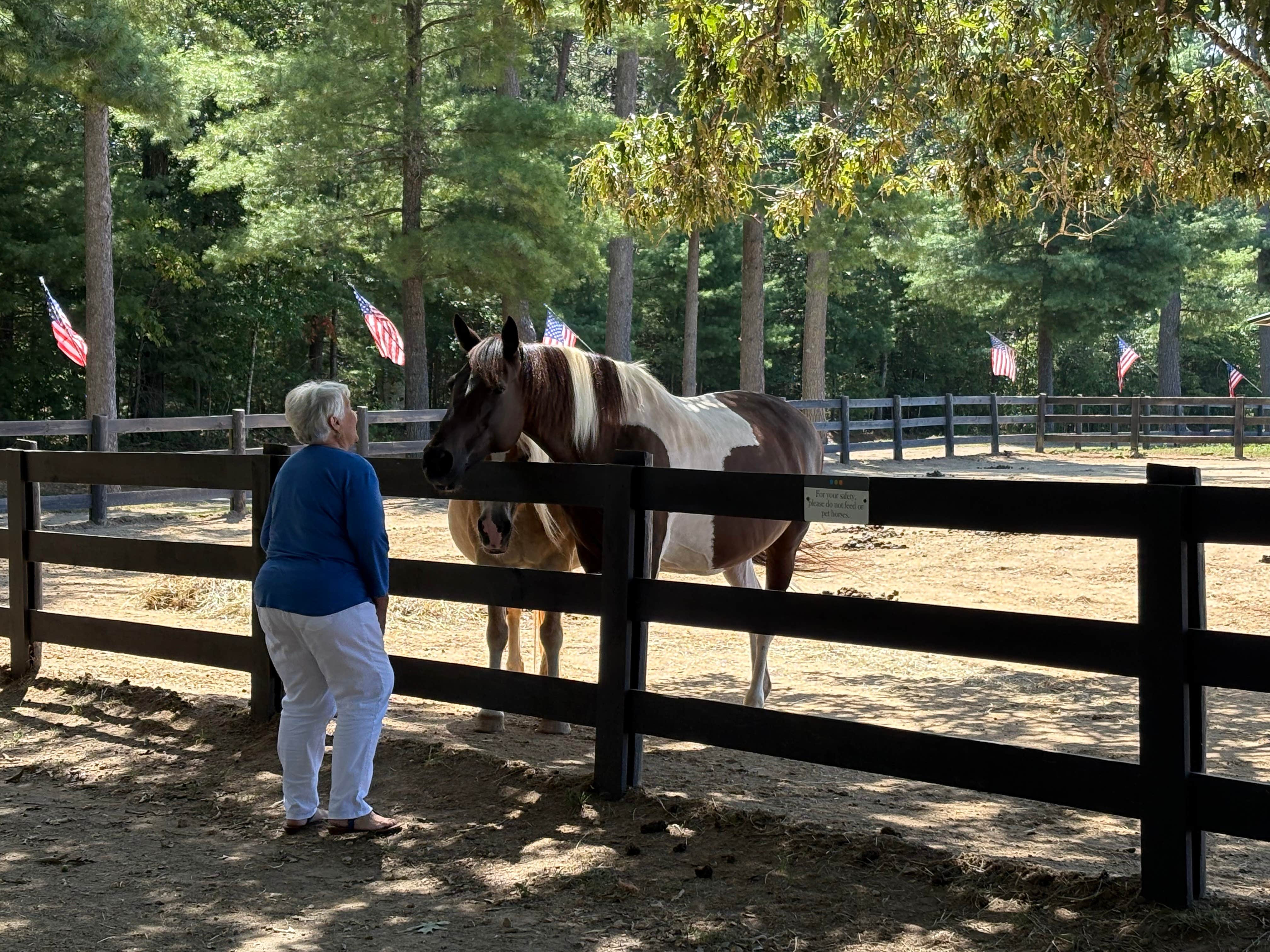 Joel R.'s photo of camping with a horse at Shenandoah Crossing, a Bluegreen Vacations Resort near Rileyville, VA