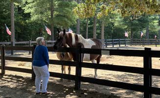 Joel R.'s photo of camping with a horse at Shenandoah Crossing, a Bluegreen Vacations Resort near New Market, VA