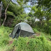 Review photo of Shenandoah National Park Dispersed Sites — Shenandoah National Park by MG S., June 22, 2026