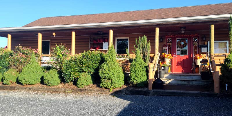 Camper submitted image from Shenandoah River Outfitters Camp Outback