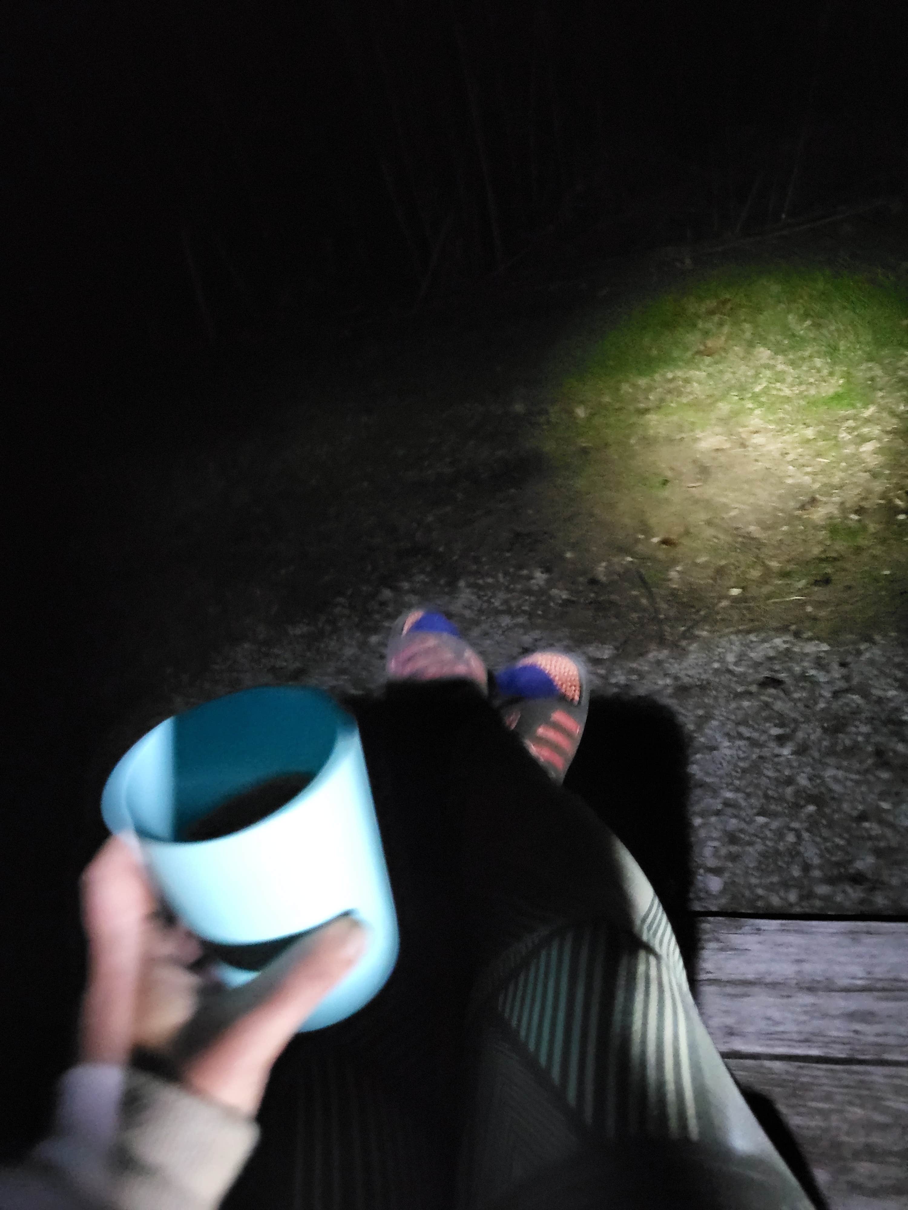 Camper-submitted photo at Sherburne WMA near St. Francisville, LA