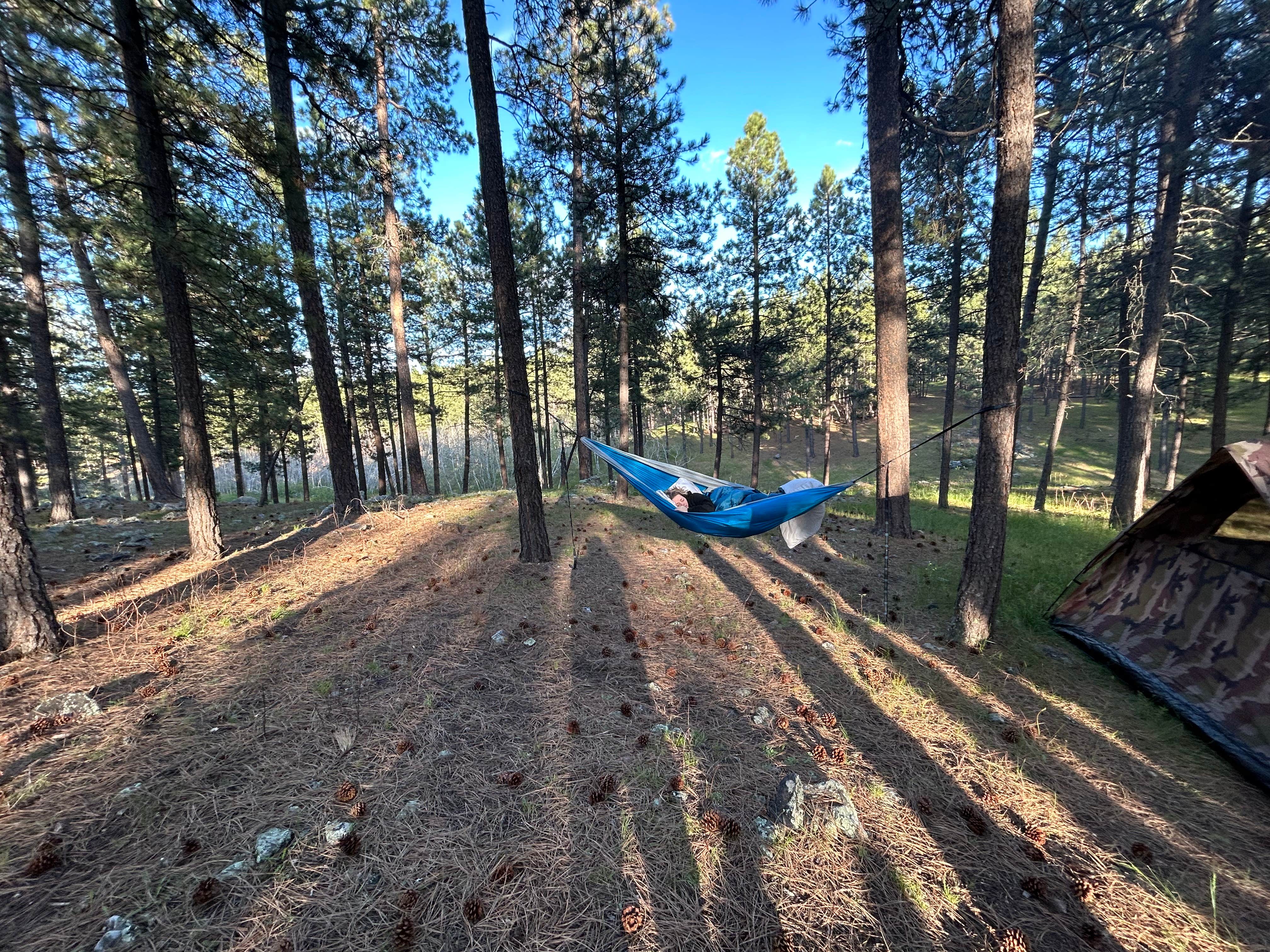 Josh C.'s photo at Sheridan Lake South Shore Campground near Rapid City, SD