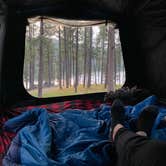 Review photo of Sheridan Lake South Shore Campground by Kara S., September 12, 2025