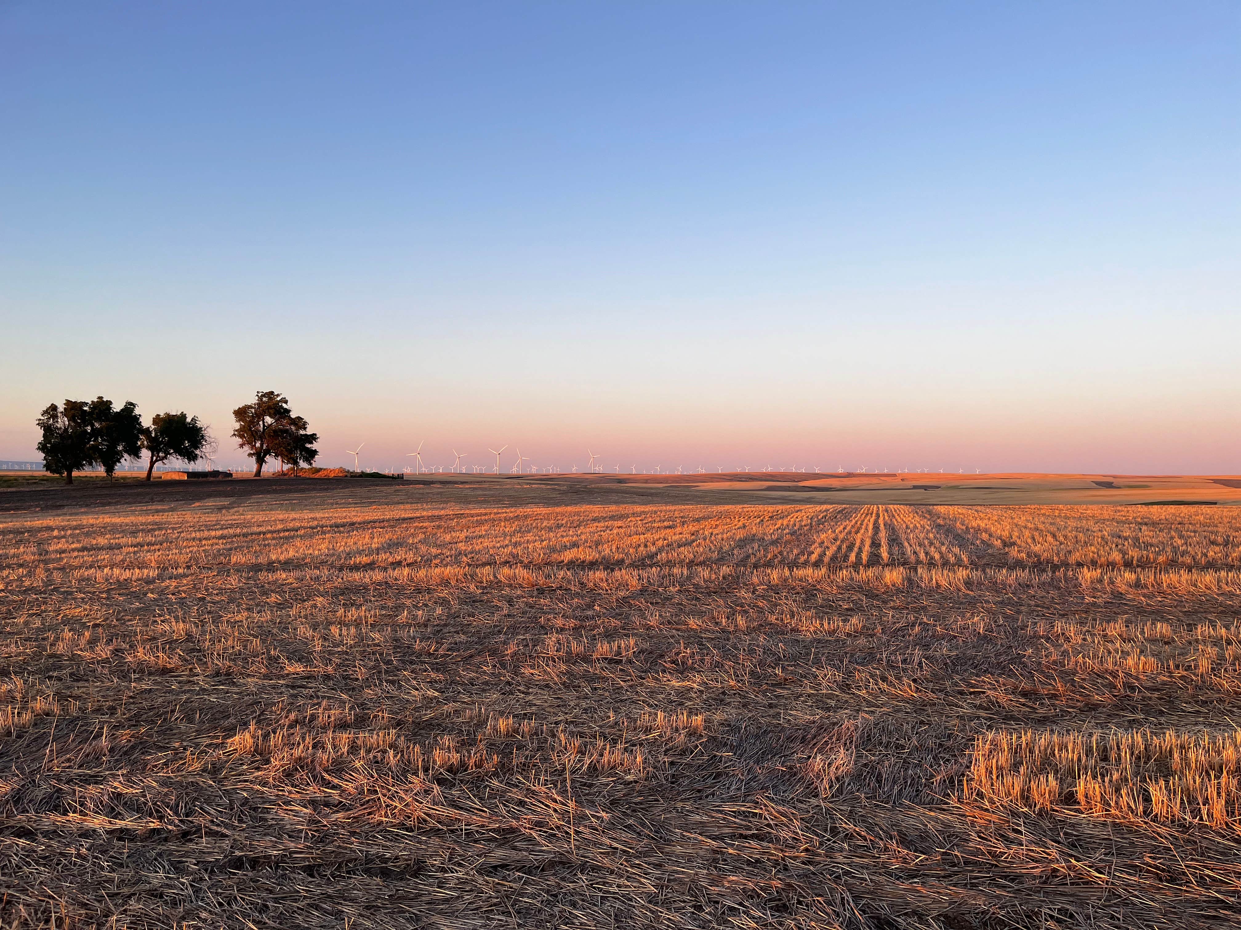 Camper-submitted photo at Sherman County RV Park near Moro, OR