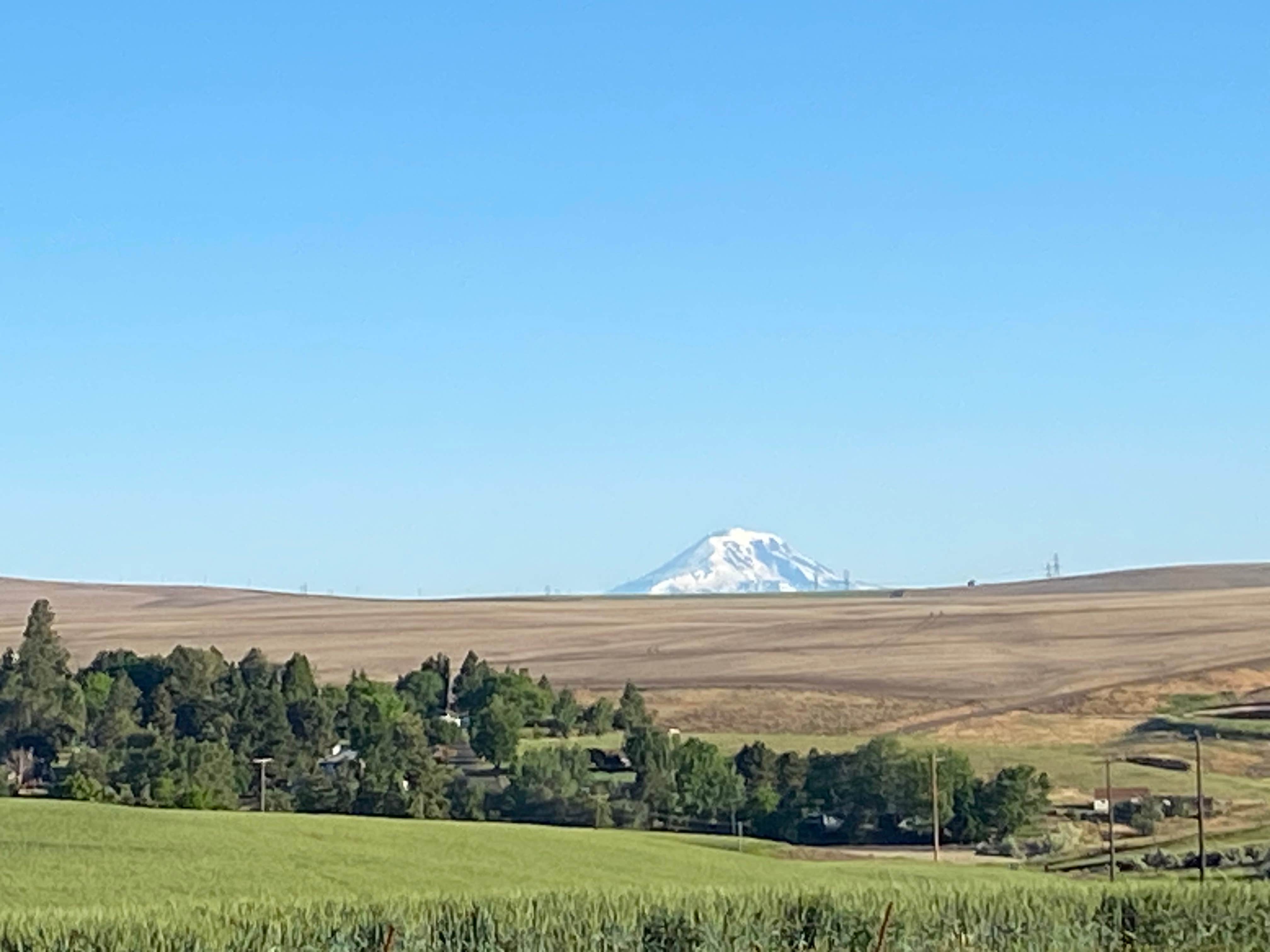 Camper-submitted photo at Sherman County RV Park near Moro, OR
