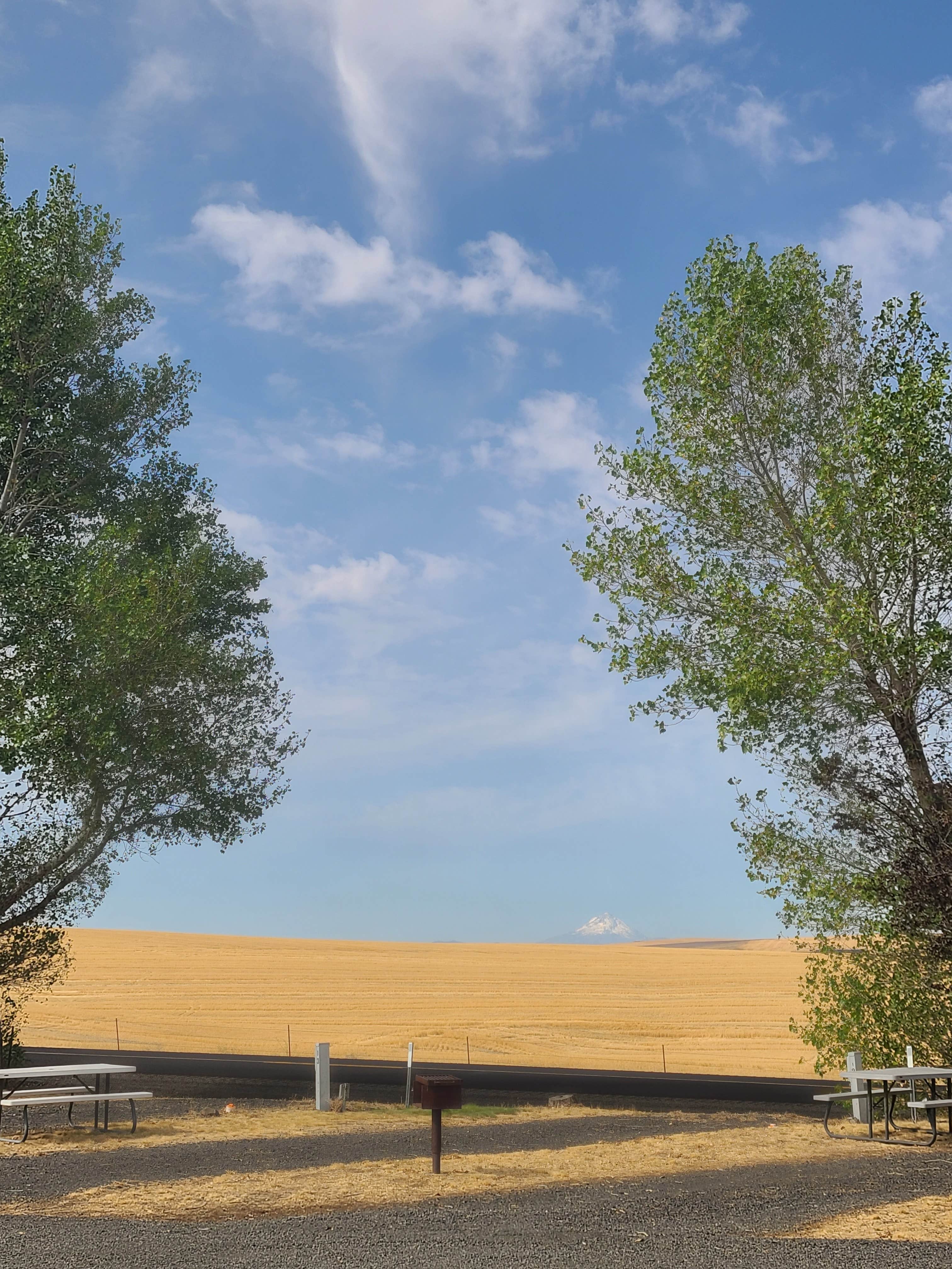 Camper-submitted photo at Sherman County RV Park near John Day Lock and Dam, Lake Umatilla