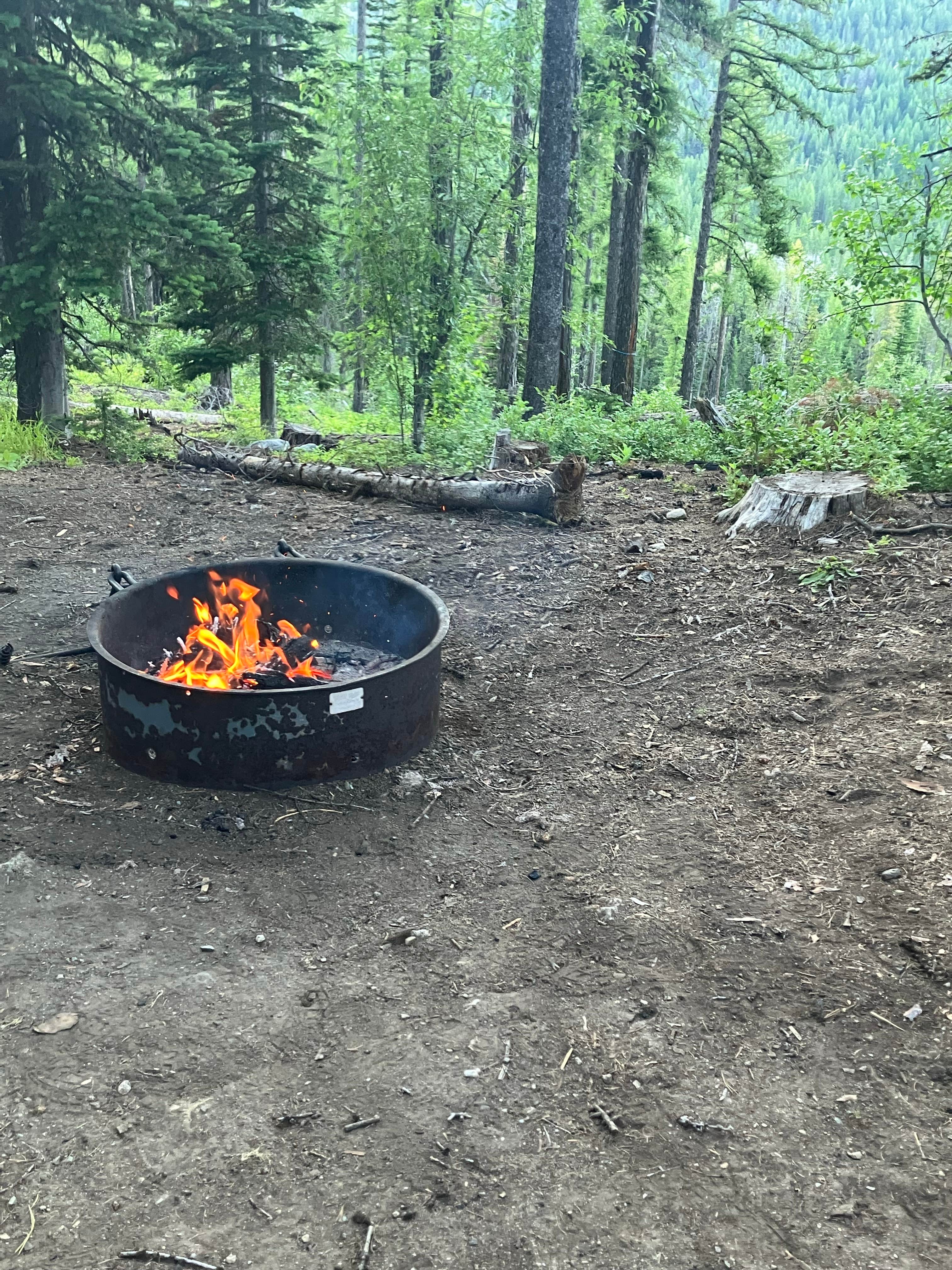 Camper submitted image from Sherman Pass Overlook Campground - 1