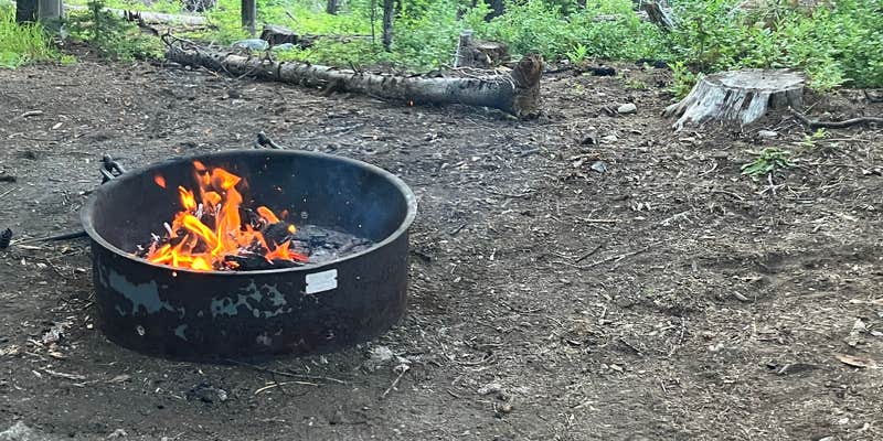 Camper submitted image from Sherman Pass Overlook Campground