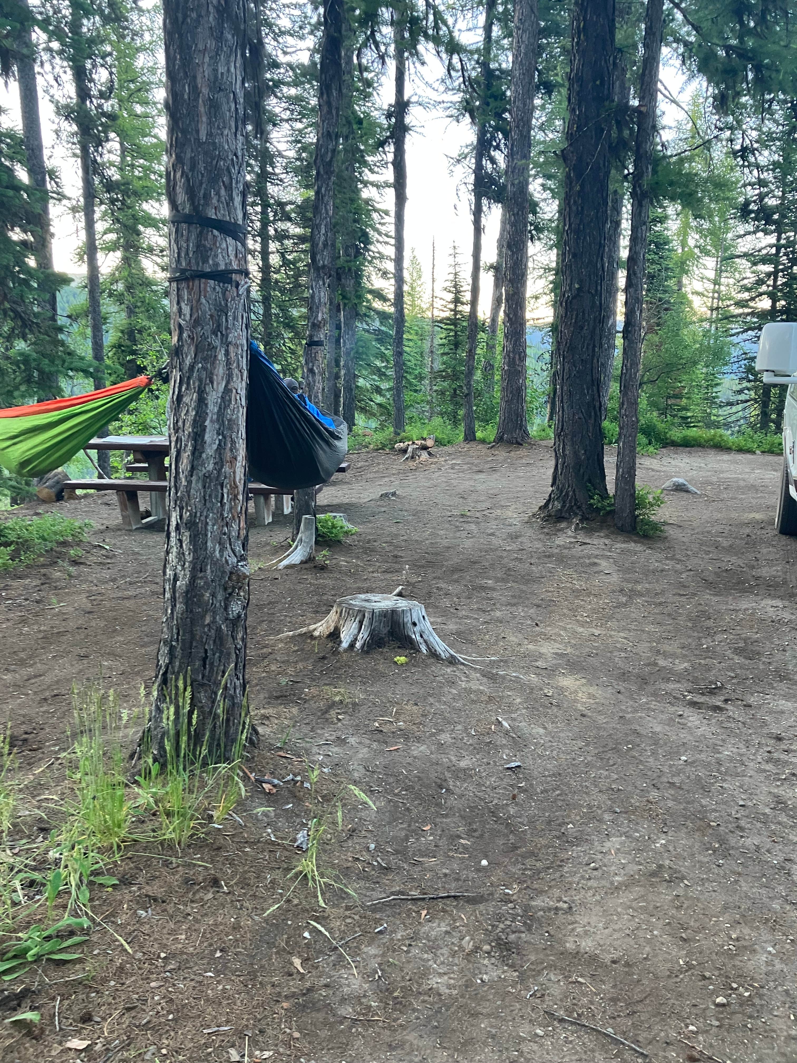 Emily B.'s photo of tent camping at Sherman Pass Overlook Campground near Colville National Forest