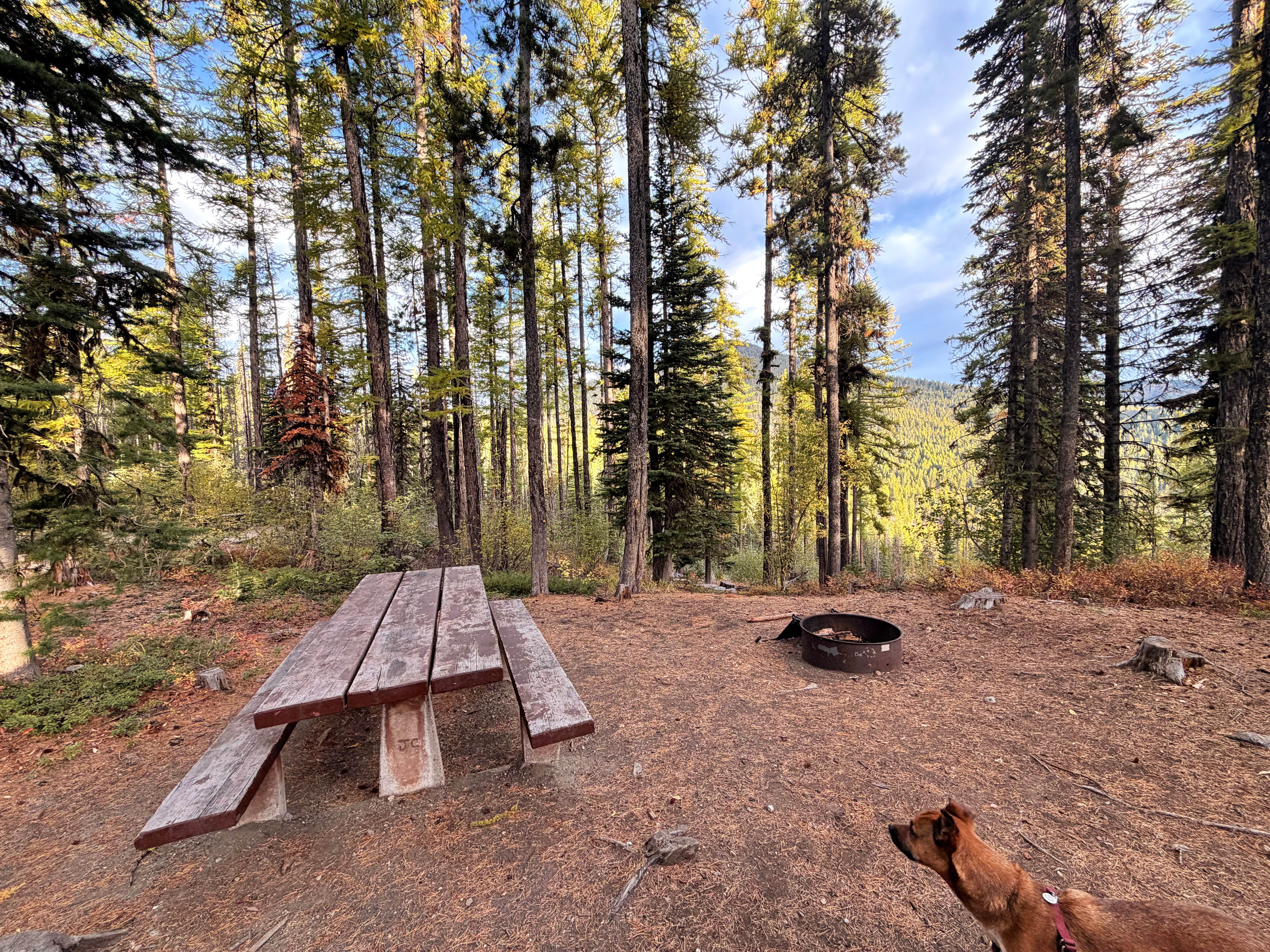 Camper-submitted photo at Sherman Pass Overlook Campground near Malo, WA