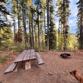 Review photo of Sherman Pass Overlook Campground by Amy W., October 2, 2026