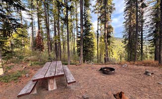 Amy W.'s photo of camping with pets at Sherman Pass Overlook Campground near Colville, WA