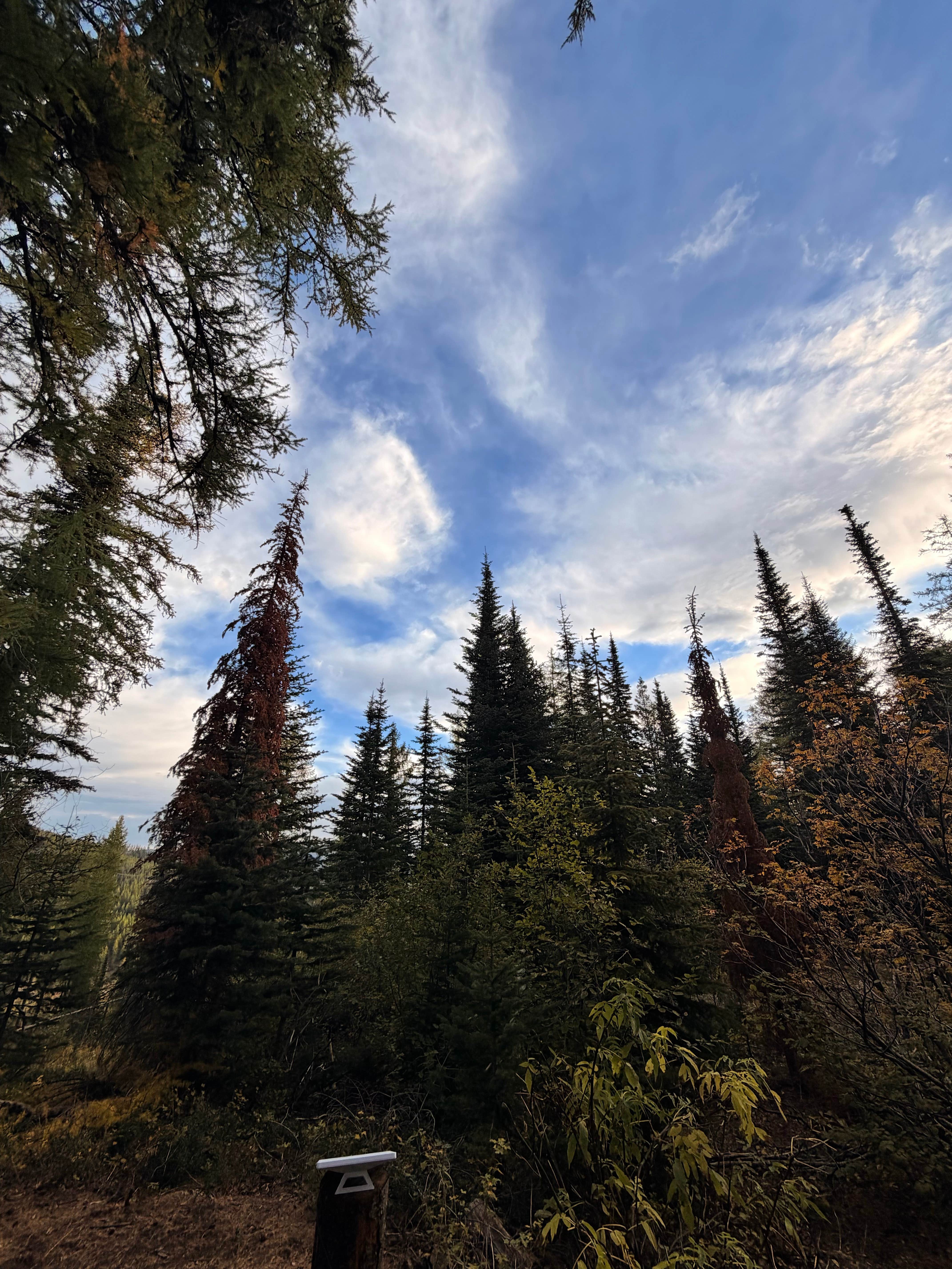 Camper-submitted photo at Sherman Pass Overlook Campground near Malo, WA