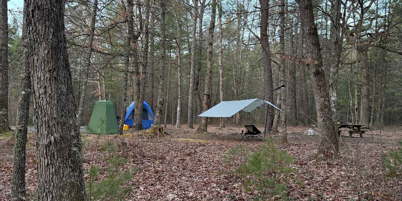 Camper submitted image from Lake Sherwood Road Dispersed Camping in Monongahela National Forest