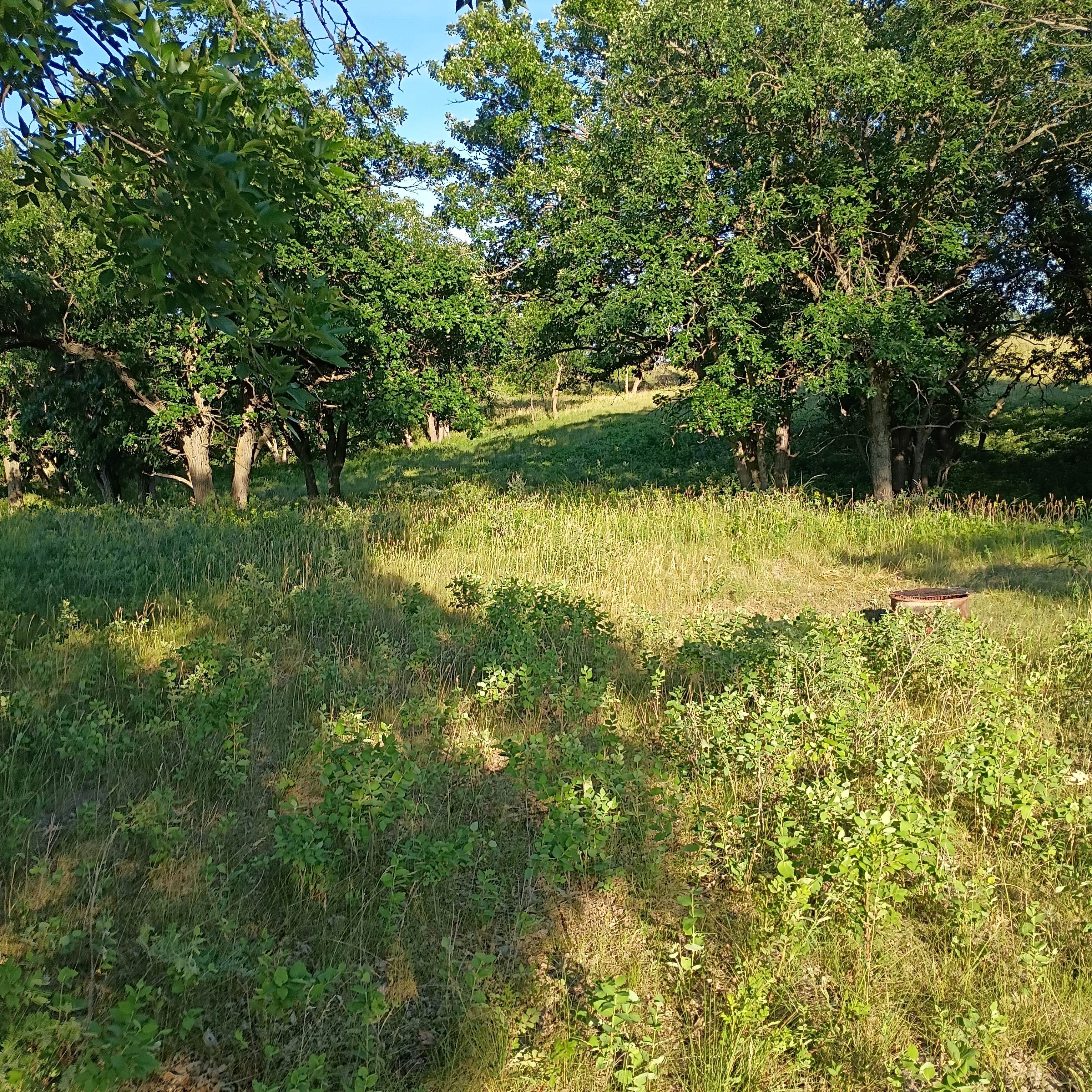 Camper-submitted photo at Sheyenne National Grassland near Fargo, ND
